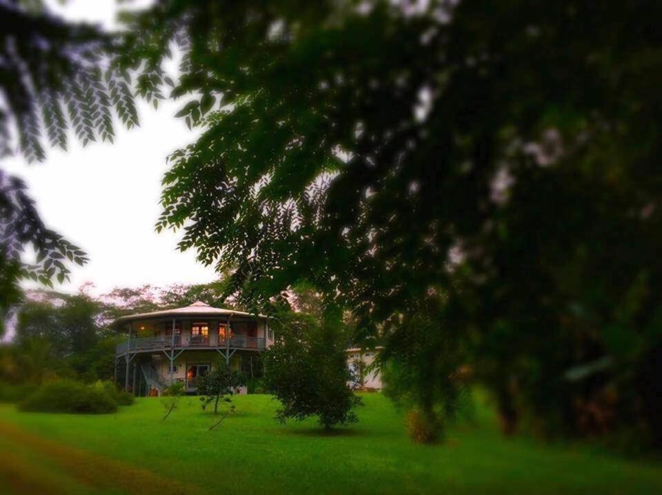 Tropical Round House Panzió Pahoa Kültér fotó